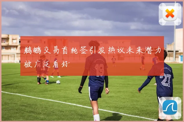 鹈鹕交易首轮签引发热议未来潜力被广泛看好