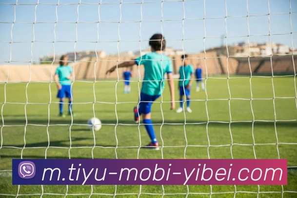 易倍体育平台生态图