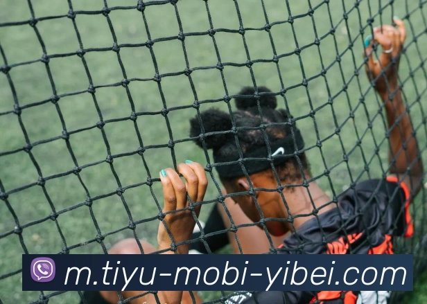 易倍体育APP 封面图